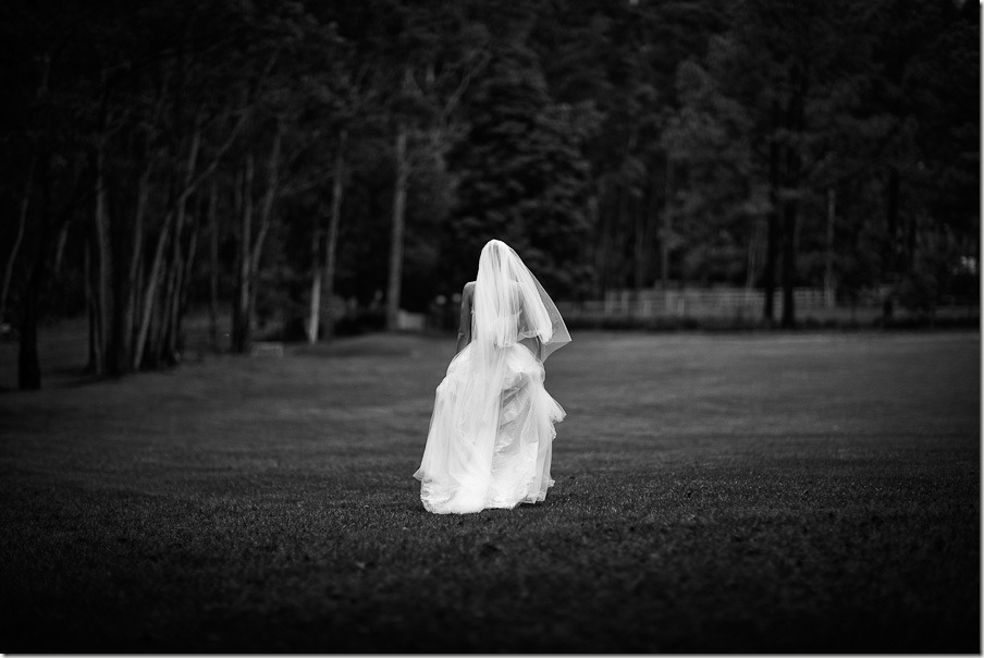 _MG_7438-Edit